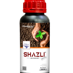 Shazli