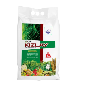 Kizlay